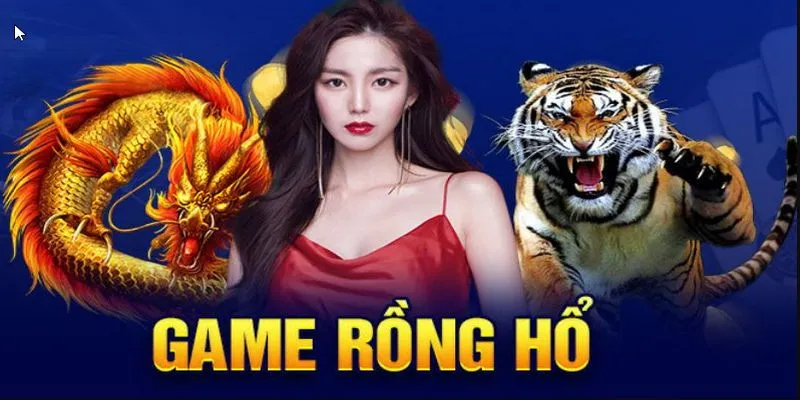 Các loại cược trong Dragon Tiger để đưa ra lựa chọn phù hợp